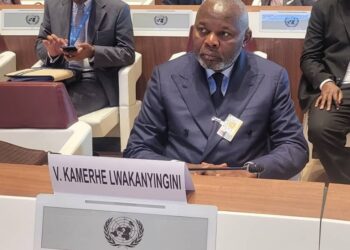 7 ème SESSION DU G.I.E/CNUCED A GENEVEVITAL KAMERHE SE REND « INTERESSANT »COMME EMISSAIRE DE LA RDC