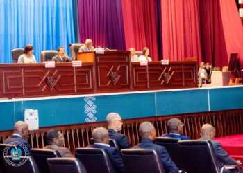 Assemblée nationale contrôle parlementaire : Trois ministres du gouvernement Suminwa convoqués par les élus