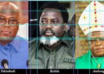 Révision ou changement de la Constitution la classe politique divisée