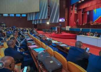 Assemblée nationale: la mission humanitaire des députés nationaux médecins auprès des réfugiés congolais au Burundi vivement saluée par l’assemblée plénière