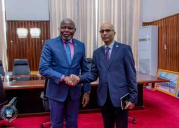 ASSEMBLÉE NATIONALE : L&rsquo;UNION EUROPÉENNE S&rsquo;INTÉRESSE DAVANTAGE AUX PROCESSUS DE PAIX EN COURS POUR METTRE FIN À LA GUERRE EN RDC
