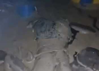 🚨KINSHASA : Chaque pluie devient une catastrophe à Nsele